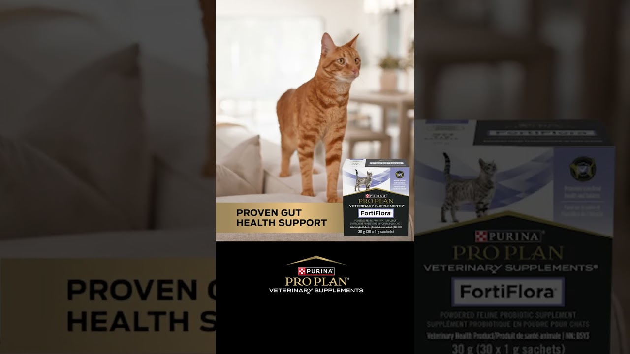 FortiFlora® is the #1 Probiotic recommended by veterinarians