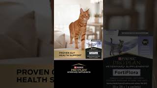 FortiFlora® is the #1 Probiotic recommended by veterinarians