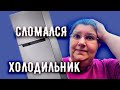 2 НЕДЕЛИ ВЫЖИВАЕМ БЕЗ ХОЛОДИЛЬНИКА НА ДАЧЕ. НАПАЛИ ОСЫ, А У МЕНЯ АЛЛЕРГИЯ