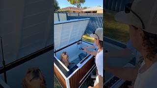 Building A Diy Dog Wash On Wheels