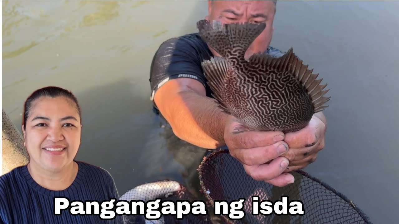 Pangangapa ng isda | Nakahuli ng malalaking isda si Bossing Emil