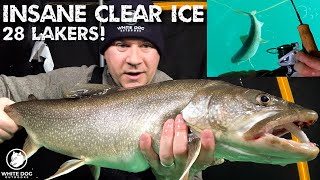 INSANE Lake Trout Ice Fishing - Crystal Clear Ice - 28 Lakers!