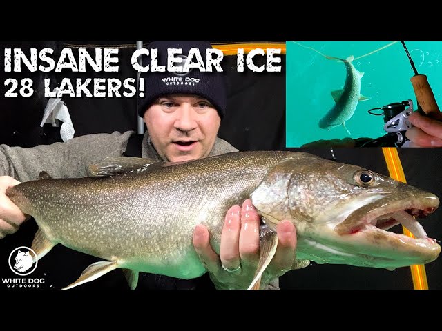 INSANE Lake Trout Ice Fishing - Crystal Clear Ice - 28 Lakers