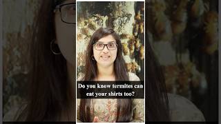 Termites can eat your shirts too