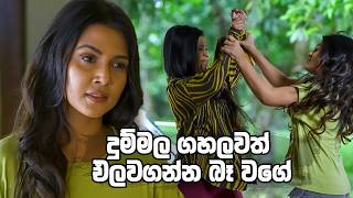 දුම්මල ගහලවත් එලවගන්න බෑ වගේ 😂😂😂 | Kolamba Kattiya