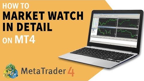 How To Market Watch in Detail on MT4 | Forex Tutorials For Beginners
