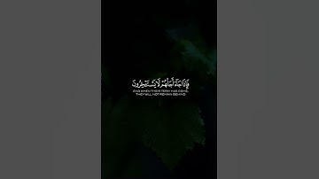 اكتب شيء تؤجر عليه 🤍 القارئ عبدالرحمن مسعد 