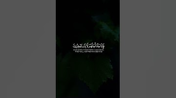 اكتب شيء تؤجر عليه 🤍 القارئ عبدالرحمن مسعد 