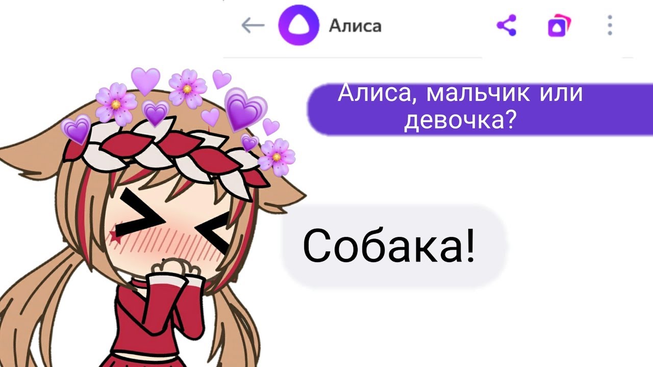 Как сгенерировать картинку с помощью алисы. Алиса Gacha Life.