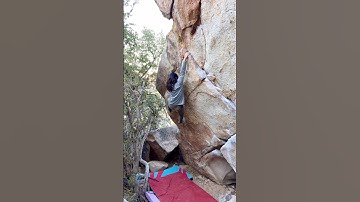 Convenient Parking V1 - Joshua Tree