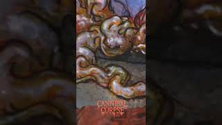 Cannibal Corpse - Frenzied Feeding#shorts#cannibalcorpse#deathmetal#metal#metalblade#brutal