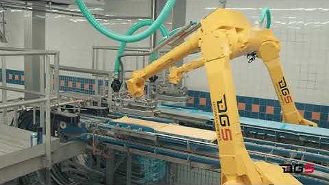 Frozen Meat Handling and Palletizing - DGS Processing Solutions