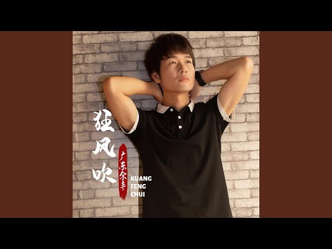 狂风吹 (DJ沈念版)