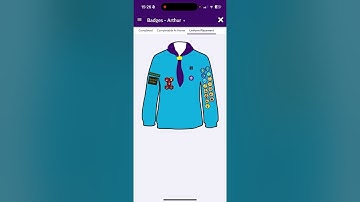 Using Badges at Home on OSM