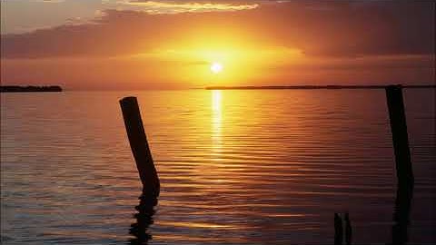 سورة التين إدريس أبكر