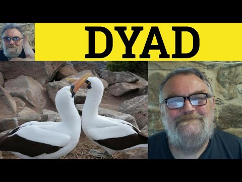 🔵 Dyad Meaning - Dyadic Definition - Dyad Examples - Formal Vocabulary - Dyad