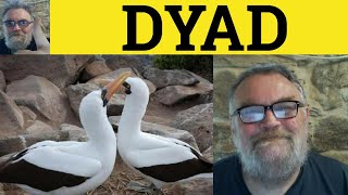 🔵 Dyad Meaning - Dyadic Definition - Dyad Examples - Formal Vocabulary - Dyad