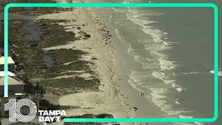 Aerial views of Clearwater Beach, Dunedin and Tarpon Springs after Hurricane Idalia