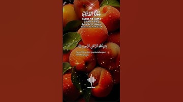 "سورة الضحى | تلاوة تهز القلوب وتبعث الطمأنينة – استمع وتأمل"