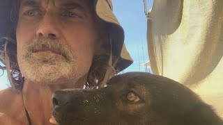‘Luck and skill’: Australian sailor’s survival story lost at sea