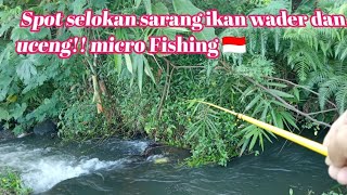 nginthil mancing sedang live sekarang!Pancing sore hari di selokan viral!!