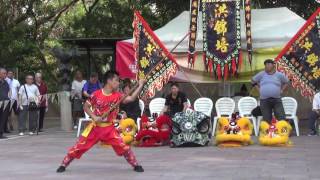 香港功夫表演20170507洪錦培10
