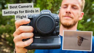 Best Autofocus Settings to Photograph Birds in Flight. How to get the Best Results with your Camera by Jimmy Breitenstein 2,436 views 2 months ago 12 minutes, 36 seconds