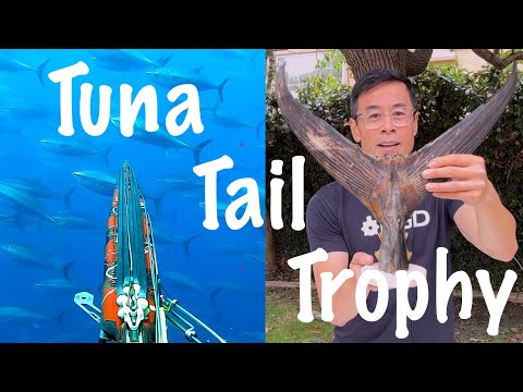 How To Dry Out A Tuna Tail
