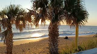 Flagler Beach near the ocean. Flagler Beach. Florida.  USA