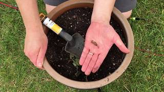 Indiana DNR: Learn how to hook a worm