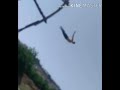 حمويه يا سما حمويه يا سما
