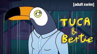 Tuca Asks Kara to Compromise | Tuca \& Bertie | adult swim