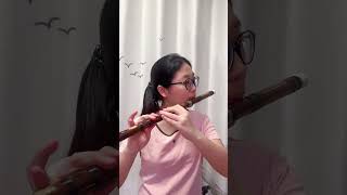 D Key Professional Dizi Flute Ship To Usa a004 At Our Site Httpswwwdiziflutecom diziflute