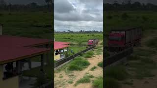 Faz.95 alq.valor 40 mil por alq docu.básica o propri.escuta propos.100 km de Santarém 91982165639