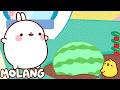 Funny Cartoon 🍉 Molang And Piu Piu's Farmyard Games 🐰