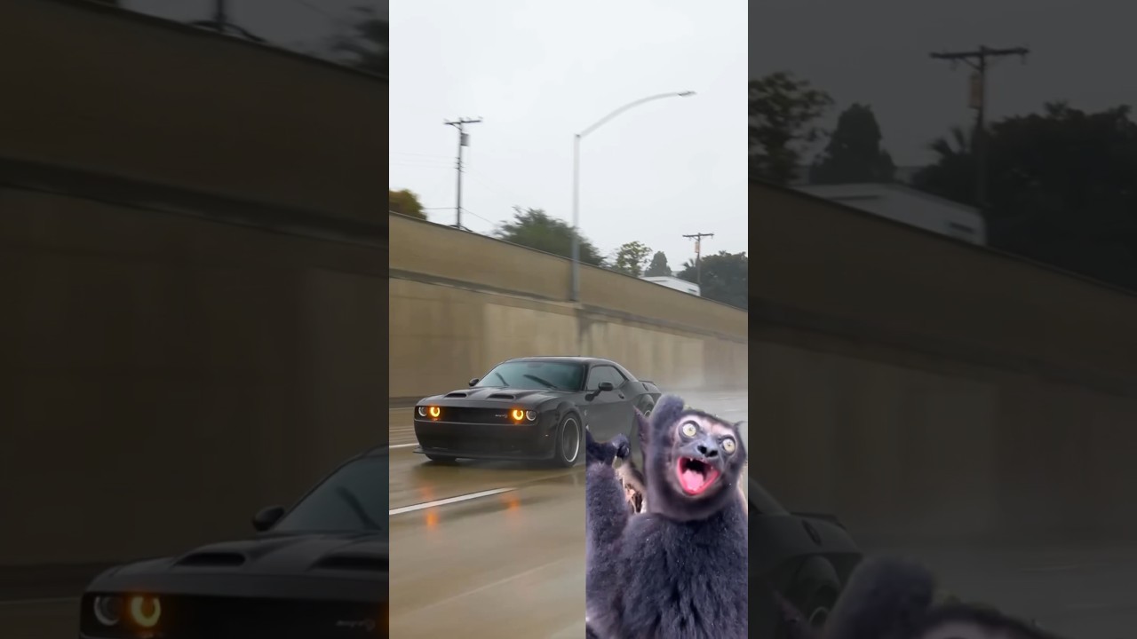 Why's it so accurate?😂😭 