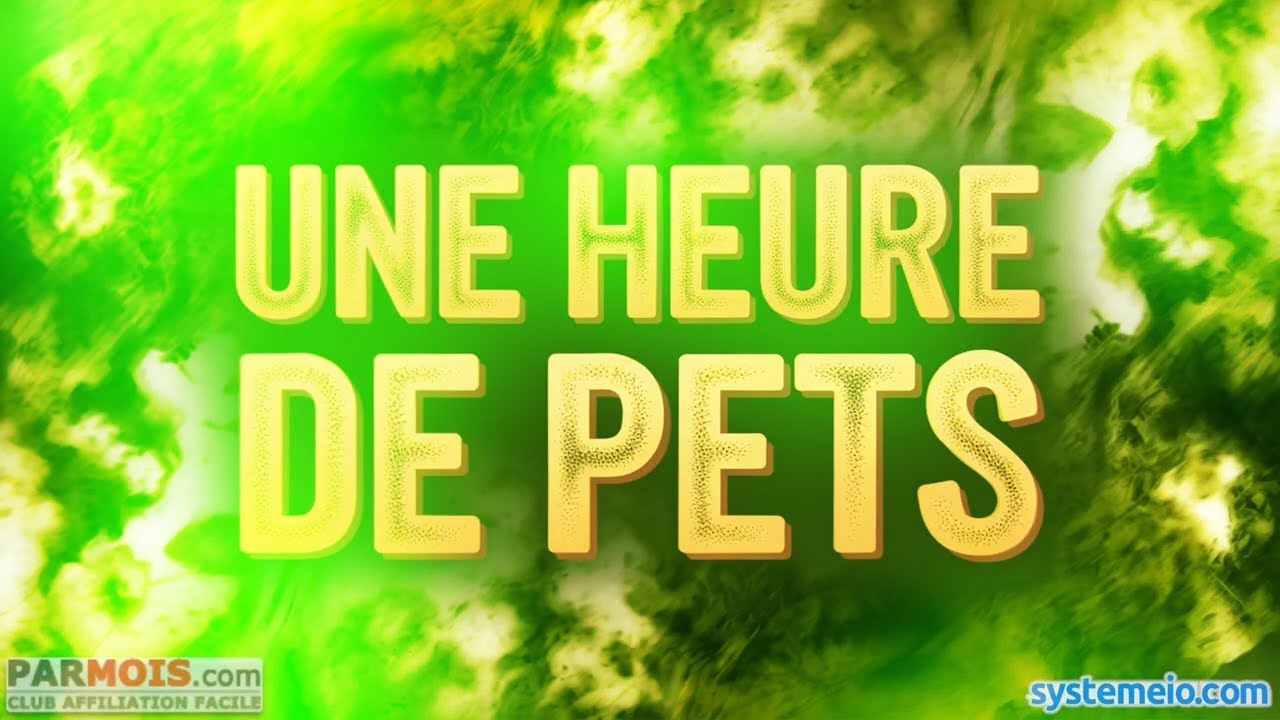 Jouets De Pet pour, Jouet De Farce De Pet,Jeu De Pet De Farce De Fabricant De Bruit | Créateur De Sons De Pet Réaliste, Cadeaux De Bâillon De