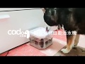 Cadog卡多樂靜音寵物自動活水機 CP-W802 product youtube thumbnail