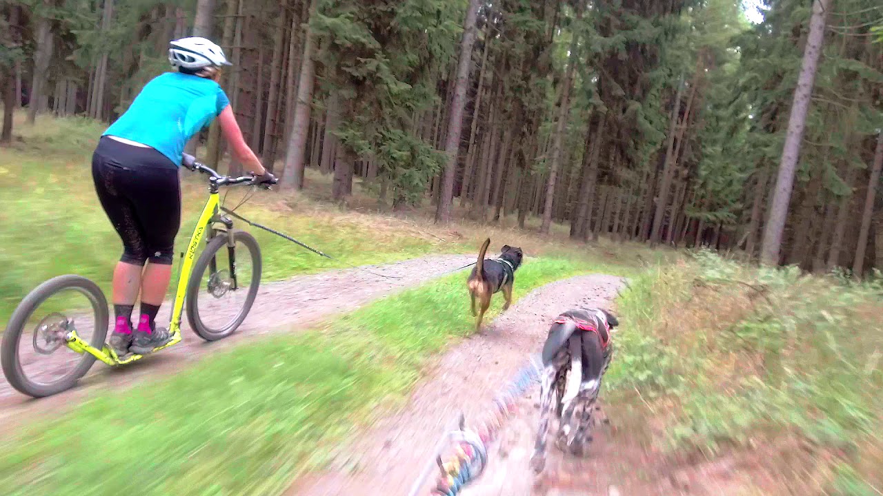 Scooterjoring by LIFE WITH DRONE YouTube