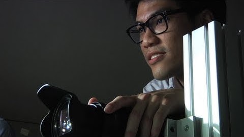 Analyzing mechanics of butterflies in flight