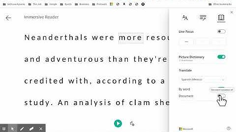 How to Use Immersive Reader for Websites Google Chrome Extension