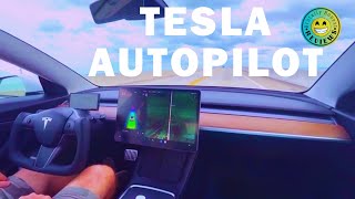 Tesla AUTOPILOT in USE - IMPORTANT MESSAGE!