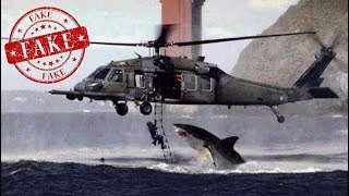 Hiçbir Şey Göründüğü Gibi Değil Fake Viral Fotoğraflar Laforizma