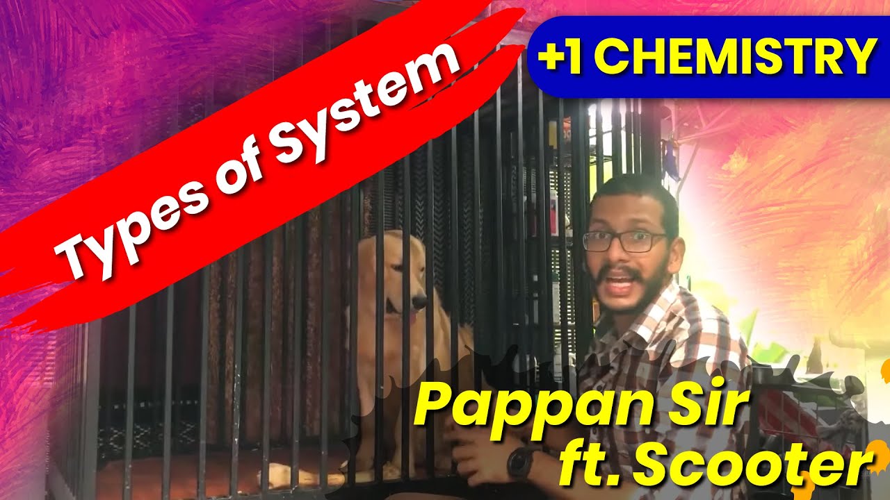 Types of System | Pappan Sir ft. Scooter | Thermodynamics | Plus One Chemistry