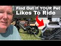 WILL THIS HELP YOU? It helped me / eBike Pet Trailer #ebike #pets