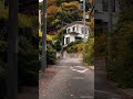 Hidden Autumn Street in Japan 🍁 | Peaceful Japan Shorts #travel