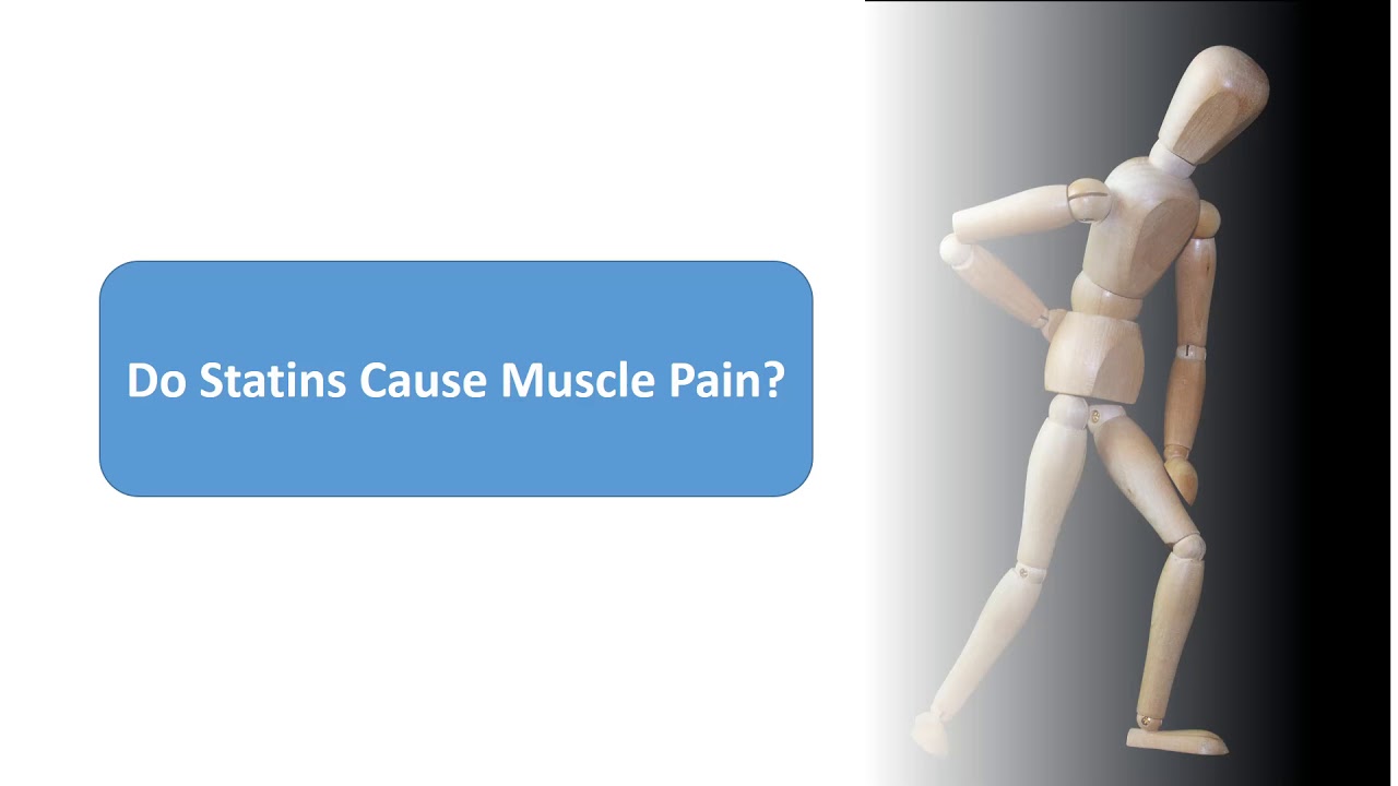 how does statins cause muscle pain