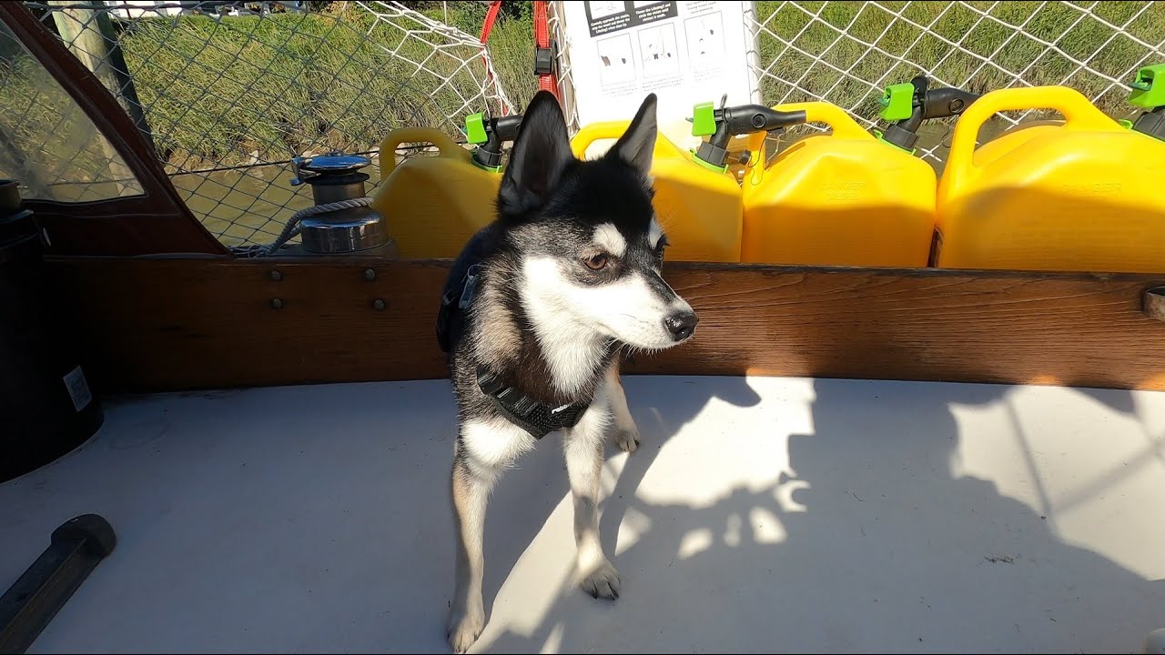 S02E41 - Fiberglass Water Tank Project (1/3) - New Pup on a Boat