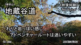 【動画で登山体験】わりと岩っぽさを感じられました🏞️🐶🌳《地蔵谷道》 (No Voice / Nature Sounds / POV) 摩耶山 六甲山 登山 谷 ハイキング