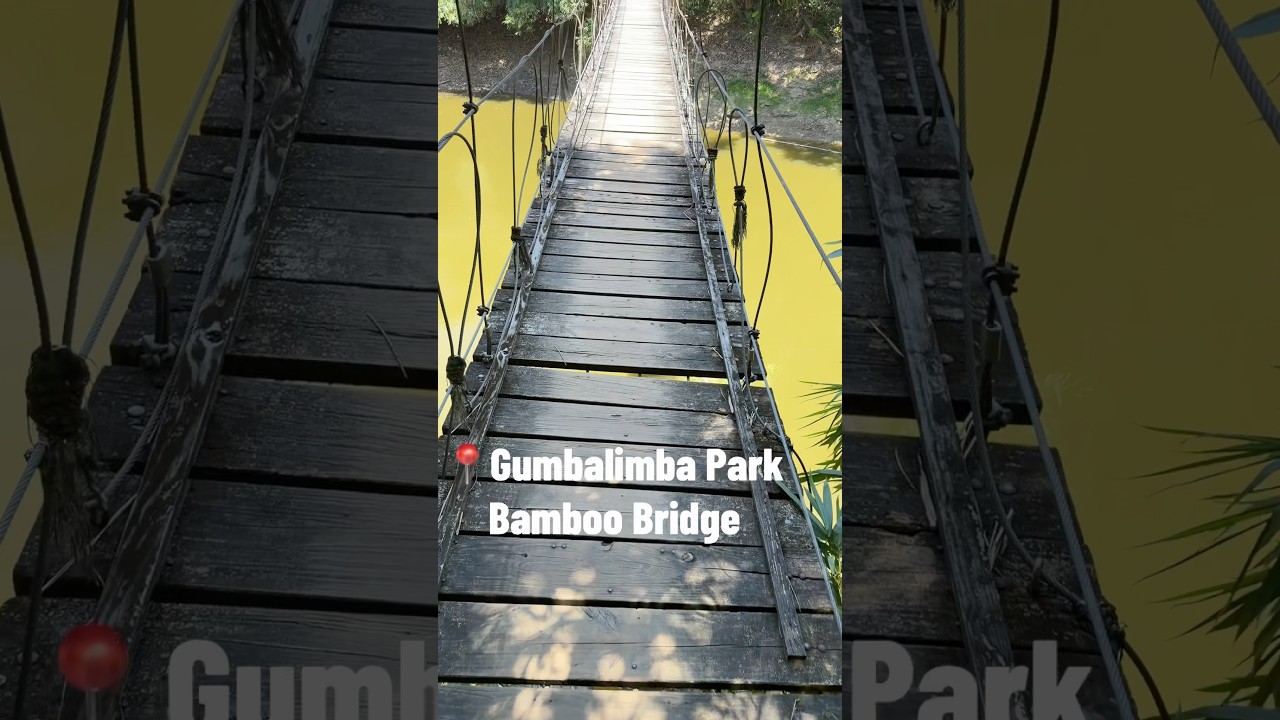 Bamboo Bridge in Honduras